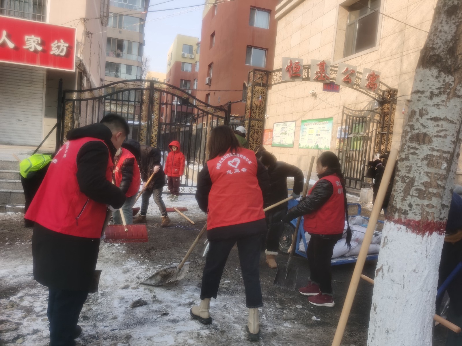 1.29除冰志愿行 聚力暖人心——金创供应链公司党支部主题党日活动图2.jpg