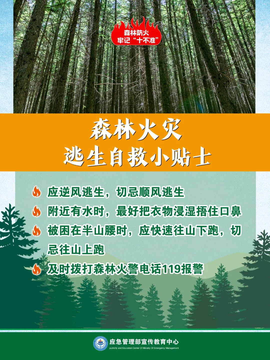 -11_副本.png